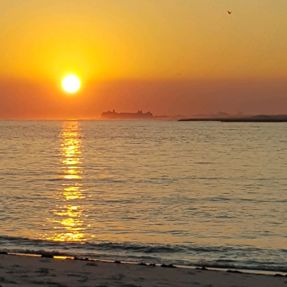 Meet your Posher, Mluiza